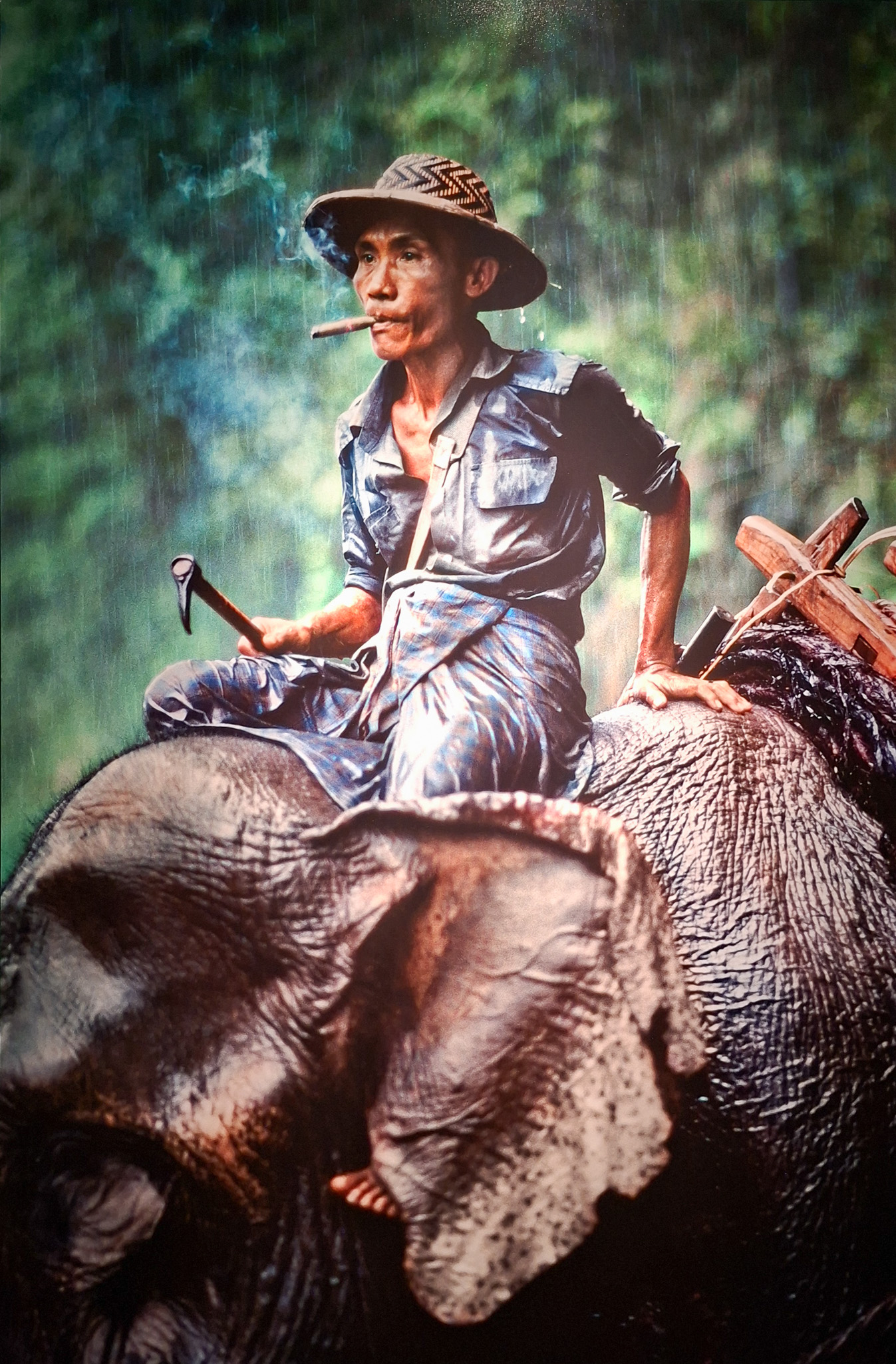 Móvil 20260613 Steve McCurry 123